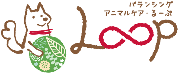 堺市北区から動物病院とは違うドッグマッサージでシニア犬の健康や下痢の症状の根本療法を目指します。